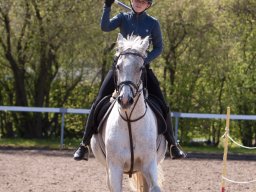 IMG_1801_web